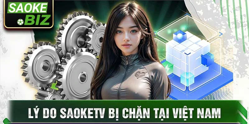 Lý do SaokeTV bị chặn tại Việt Nam