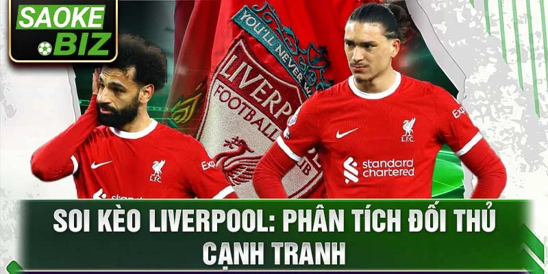 Soi kèo Liverpool: Phân tích đối thủ cạnh tranh