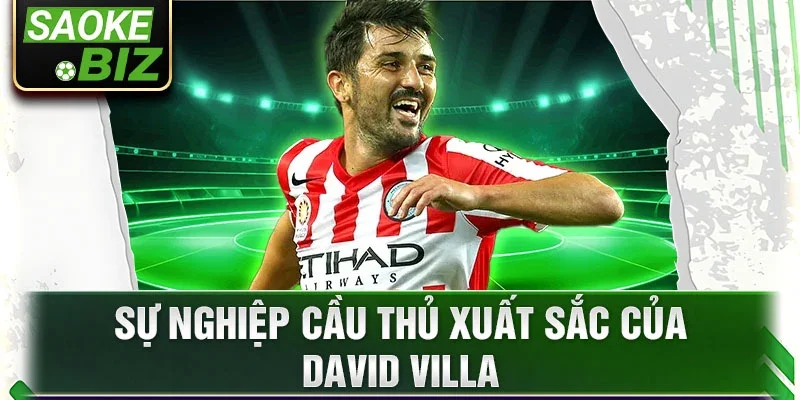 Sự nghiệp cầu thủ xuất sắc của David Villa